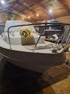 Yamaha Fish 22. ������ ����