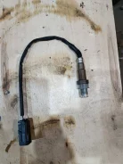 ����������� ������ ��� ������� ����