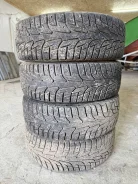 Winter Tact. ������, ����������, 2013 ���, �/�, ����� 30 % ����