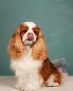 ����-������-��������. ����