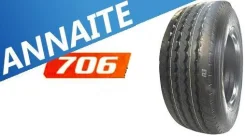 Annaite 706