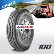 Annaite 100