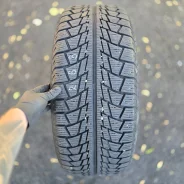 Nankang Snow Viva SV-1. ������, ��� �����, �/�, ����� 10 % ����