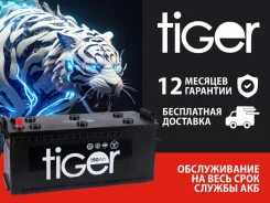 Tiger
