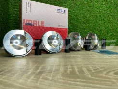 ������ �������� ������ +0.25 VAG EA888 2.0 23 �� Imale 06H107065DM 06H107065DM ����