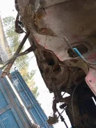 Subaru Justy. KA8, EF12 ����
