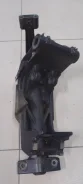 ��������� ��������������. ����