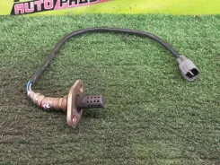 ������ ����������� 8946522190 8946522190 ����