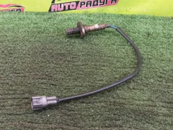 ������ ����������� 8946522190 8946522190 ����