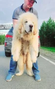 ��������� ������. ����