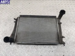 ���������� Volkswagen Passat B6 ����