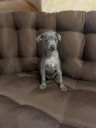 ��������. ����