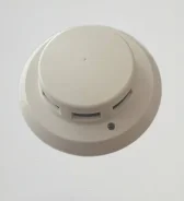 ������� ����. ����