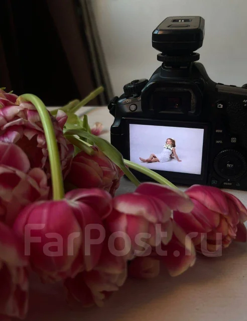 Canon EOS 60D ����