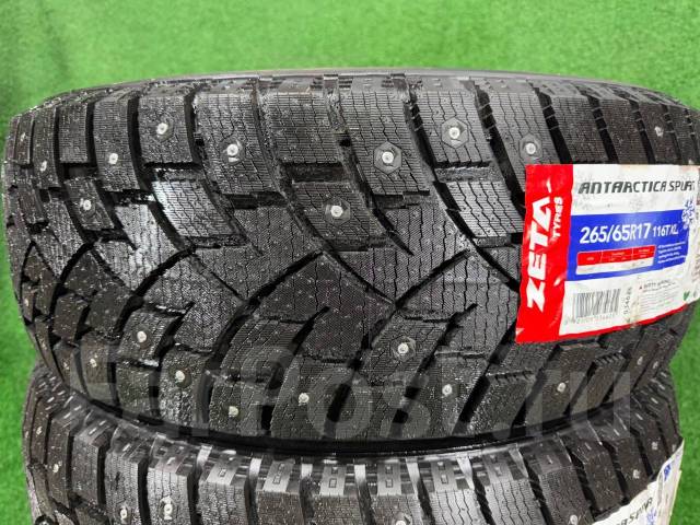 Zeta Antarctica Sport. ������, ����������, 2025 ���, ����� ����