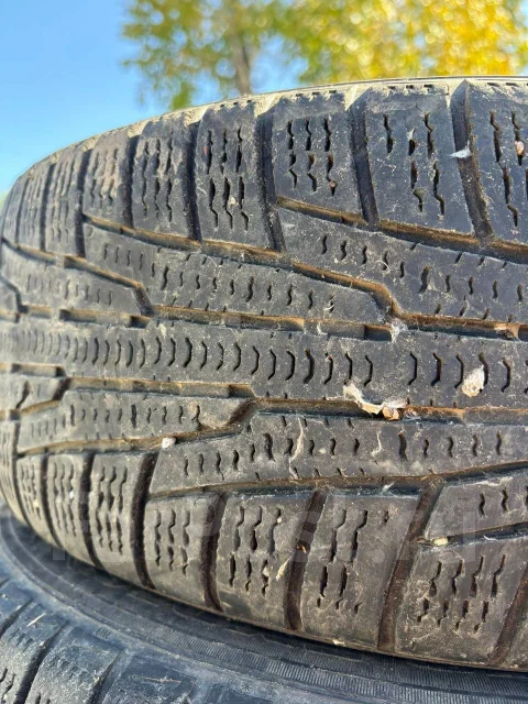 Nordman RS. ������, ��� �����, �/�, ����� 50 % ����