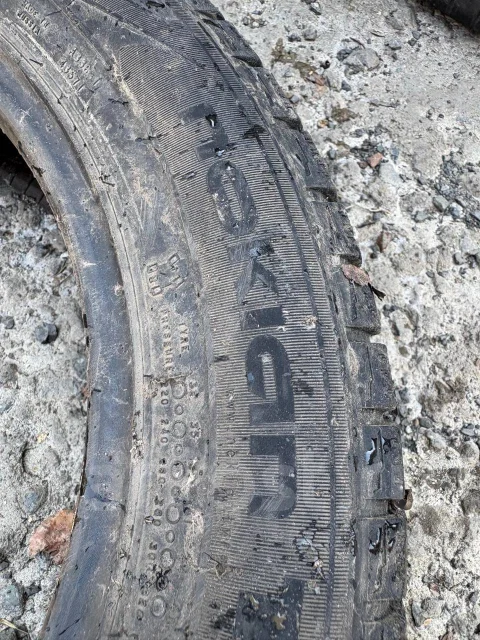 Nordman RS. ������, ��� �����, �/�, ����� 50 % ����