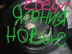 Goodyear Ice Navi 7. ������, ��� �����, 2024 ���, ����� ����