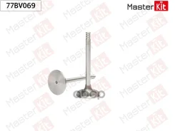 ������ �������� VAG BAC, BPE 77BV069 ����