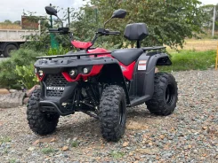 Linhai-Yamaha M170. ��������, ��� ���\���, ��� �������. ��� ����� �� ������������ ����