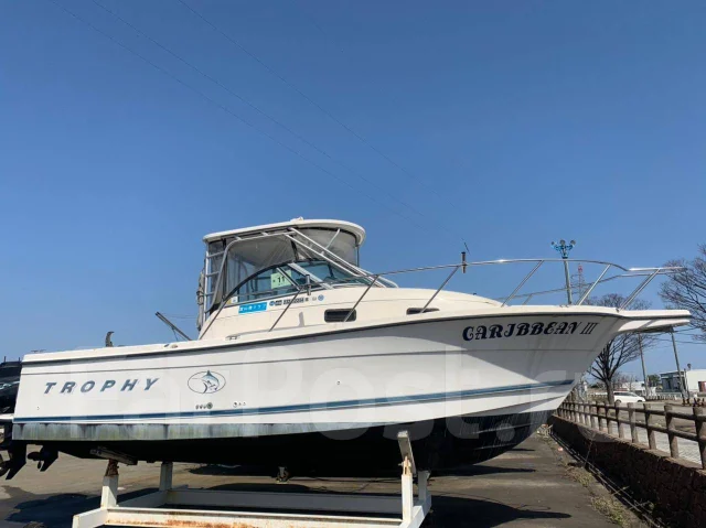 Bayliner. 1999 ���, ����� 10��., ��������� ���������, 450��.�., ������ ����