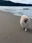 ����������� ����. ����