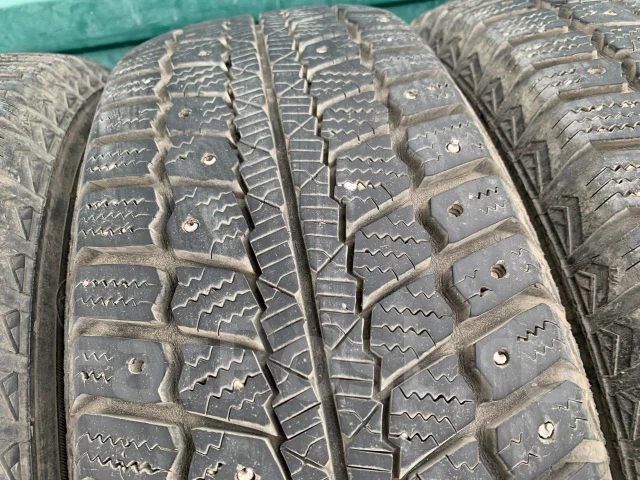 Barum Norpolaris. ������, ����������, �/�, ����� 40 % ����