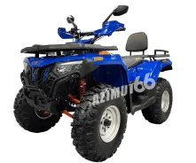 Bashan Explorer 300 Basic