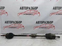 ������ �������� ������ Hyundai getz Hyundai-KIA 495001C362 495001C362 ����