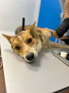 ������. ����