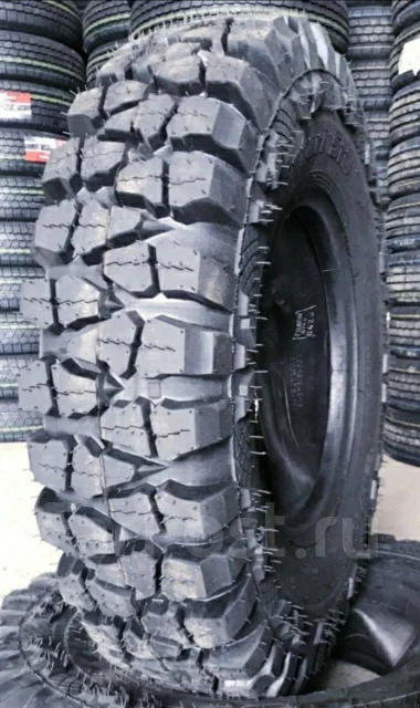 Forward Safari 510. ������, 2026 ���, ����� ����