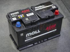 Moll. 80��.�., L4, 800��., ��������, ������������ ������ ����