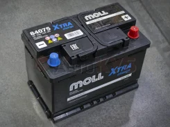 Moll. 75��.�., L3, 720��., ��������, ������������ ������. ��� ����� �� ������������ ����