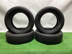 Goodyear Allage Eco AL02