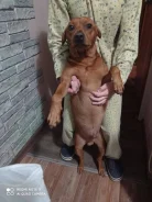 �����������. ����