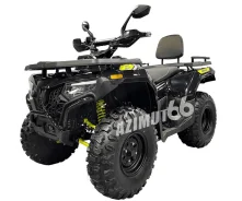 Bashan Explorer 300 Basic