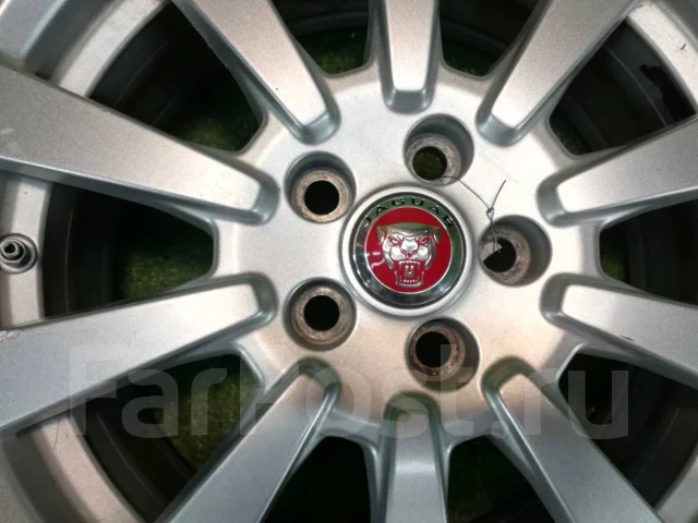 Jaguar