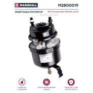 ����������������� ��� ����. ������ 14/24 DAF, MB M2800019 ����