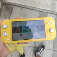 Nintendo Switch Lite ����