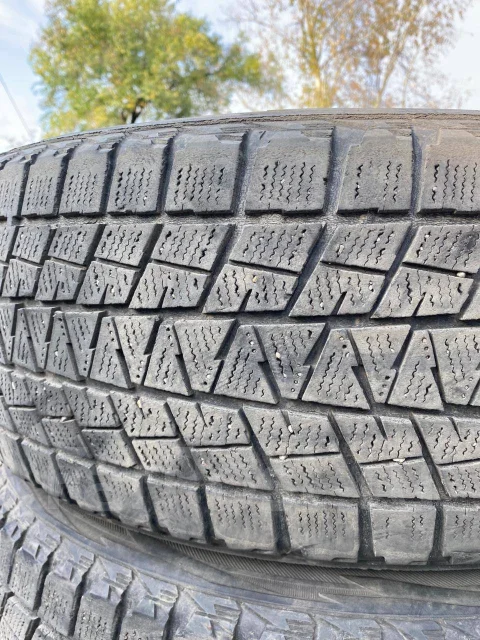 Bridgestone Blizzak DM-V1. ������, ��� �����, �/�, ����� 40 % ����