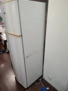 ������������. ����