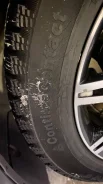 Continental Contact. ������, ����������, 2021 ���, �/�, ����� �� 5 % ����