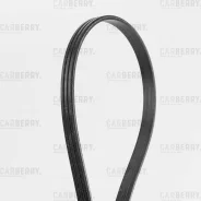 ������ ������������ Carberry 3PK865 3PK865 ����