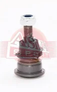 ����� ������� �������� ������ | ����� ����/��� | Asva 2020-001 2020001 ����