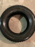Bridgestone Blizzak Spike-01. ������, ����������, �/�, ����� 40 % ����