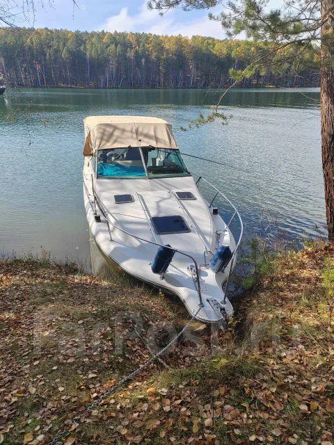 Searay. ����� 9��., ��������� ���������, 300��.�., ������ ����