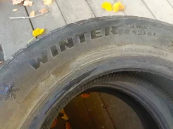 Winter Tact. ������, ��� �����, �/�, ����� 60 % ����