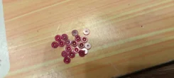 ������ ��������� ����� �� ����� ����