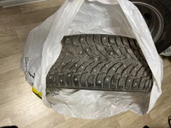 Nokian Hakkapeliitta 09. ������, ����������, 2023 ���, �/�, ����� �� 5 % ����