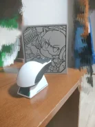 ���� �������. ����